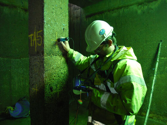 Half-Cell Potential Survey